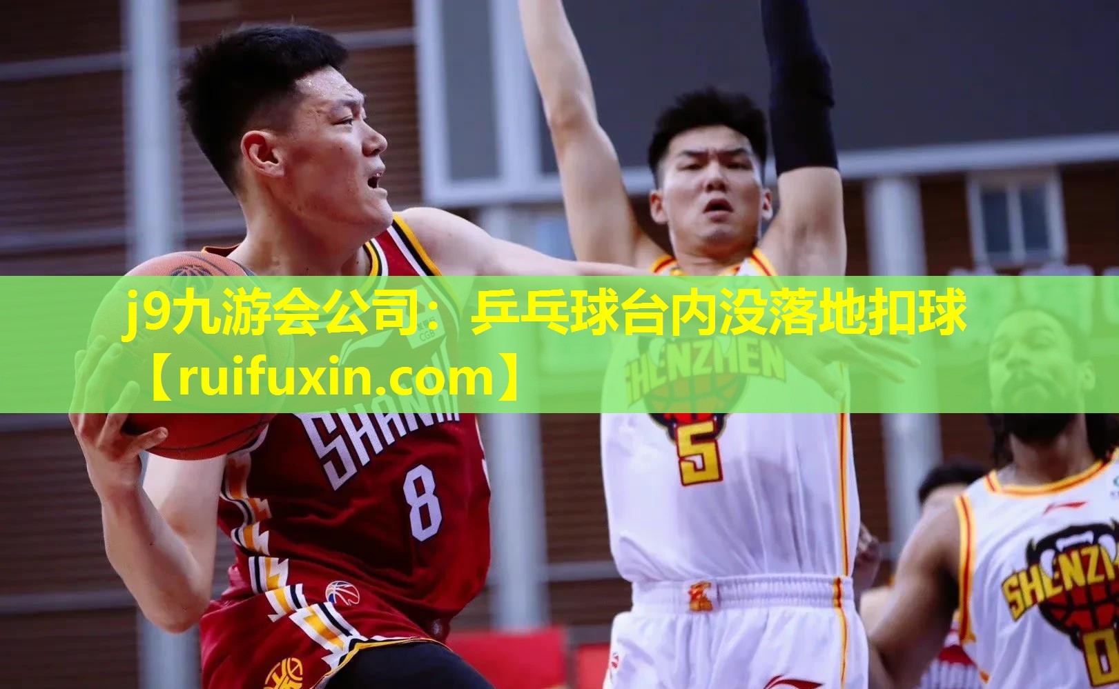 j9九游会公司：乒乓球台内没落地扣球