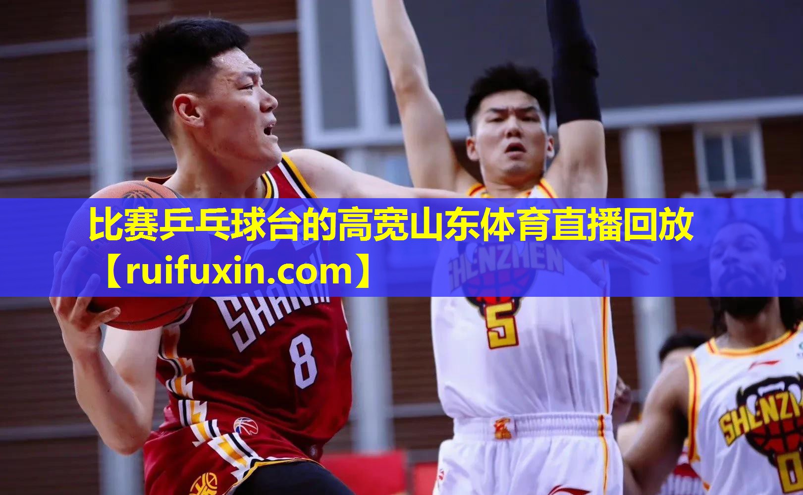 比赛乒乓球台的高宽山东体育直播回放