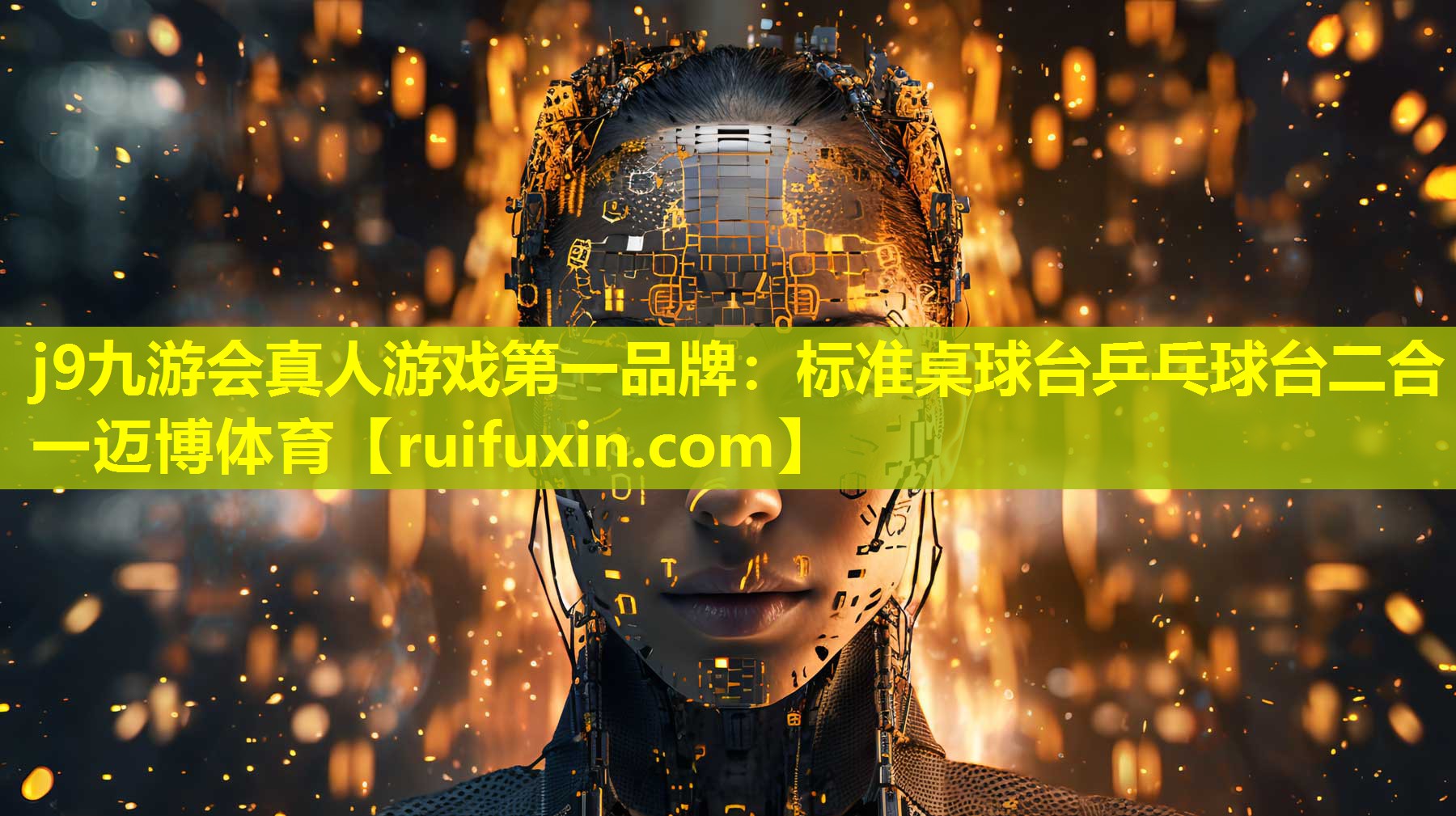 j9九游会真人游戏第一品牌：标准桌球台乒乓球台二合一迈博体育