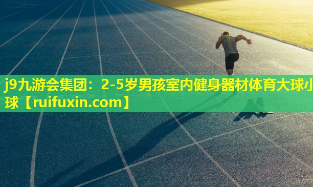 j9九游会集团：2-5岁男孩室内健身器材体育大球小球