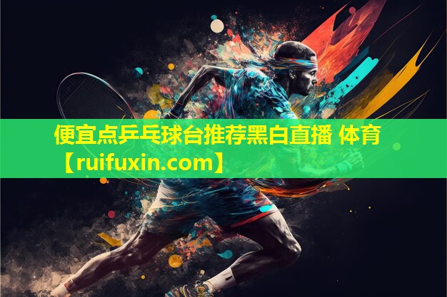 便宜点乒乓球台推荐黑白直播 体育
