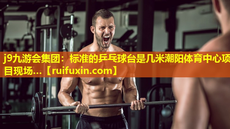 j9九游会集团：标准的乒乓球台是几米潮阳体育中心项目现场…