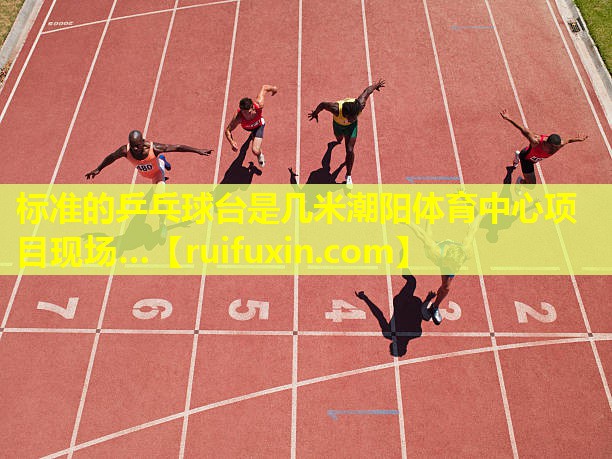 标准的乒乓球台是几米潮阳体育中心项目现场…