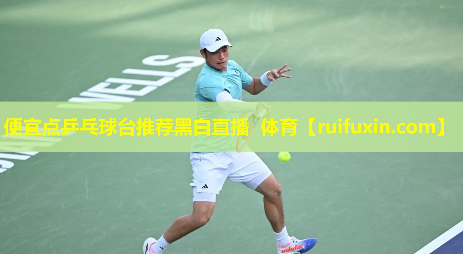 便宜点乒乓球台推荐黑白直播 体育
