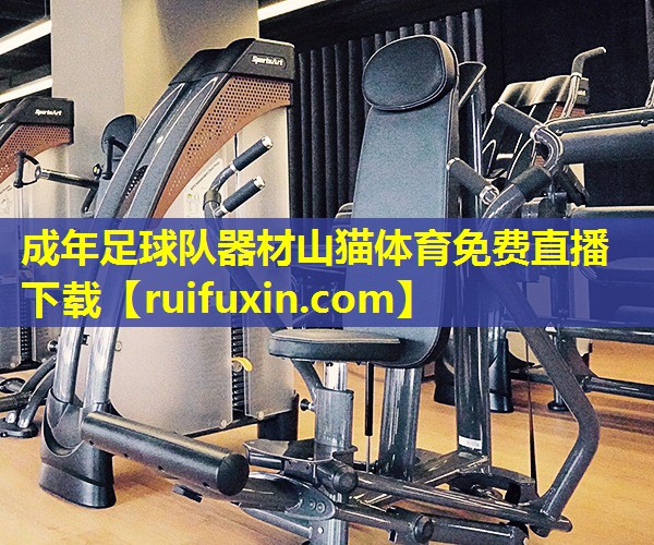 成年足球队器材山猫体育免费直播下载