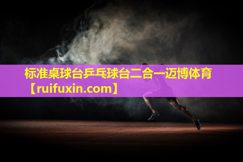 标准桌球台乒乓球台二合一迈博体育