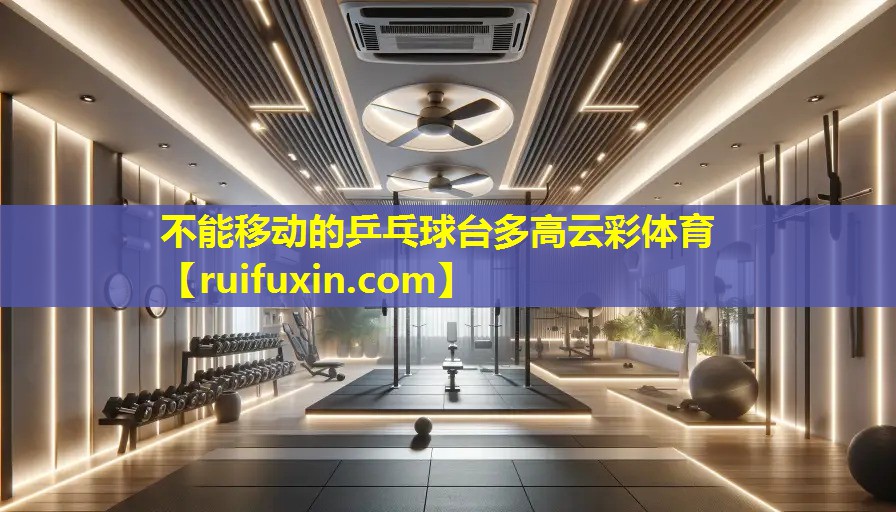 不能移动的乒乓球台多高云彩体育