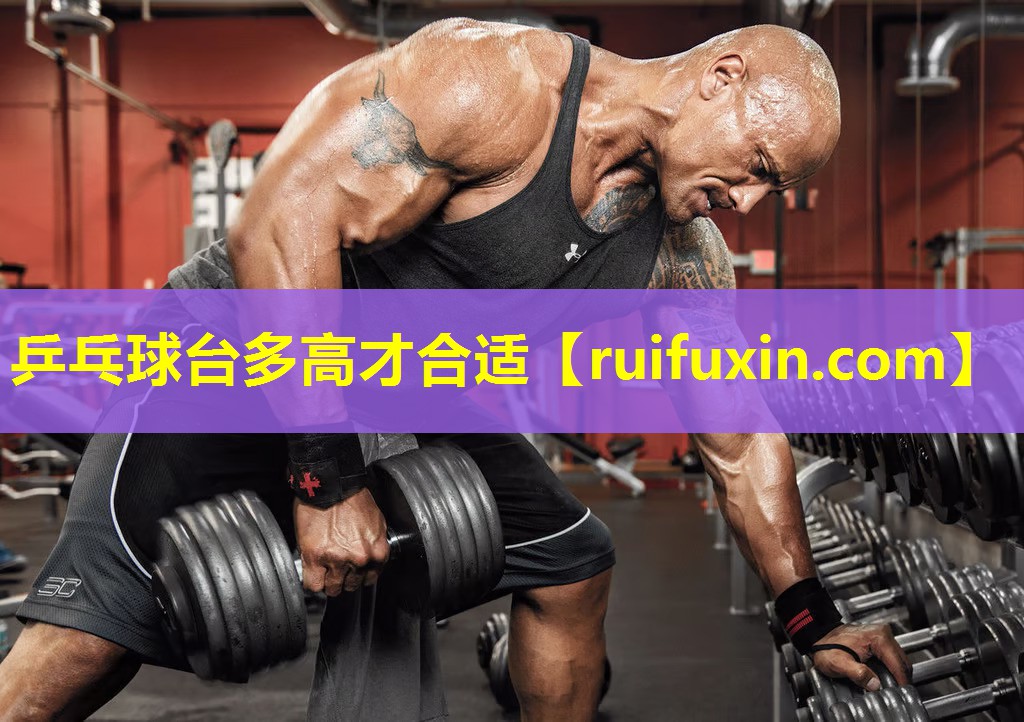 乒乓球台多高才合适