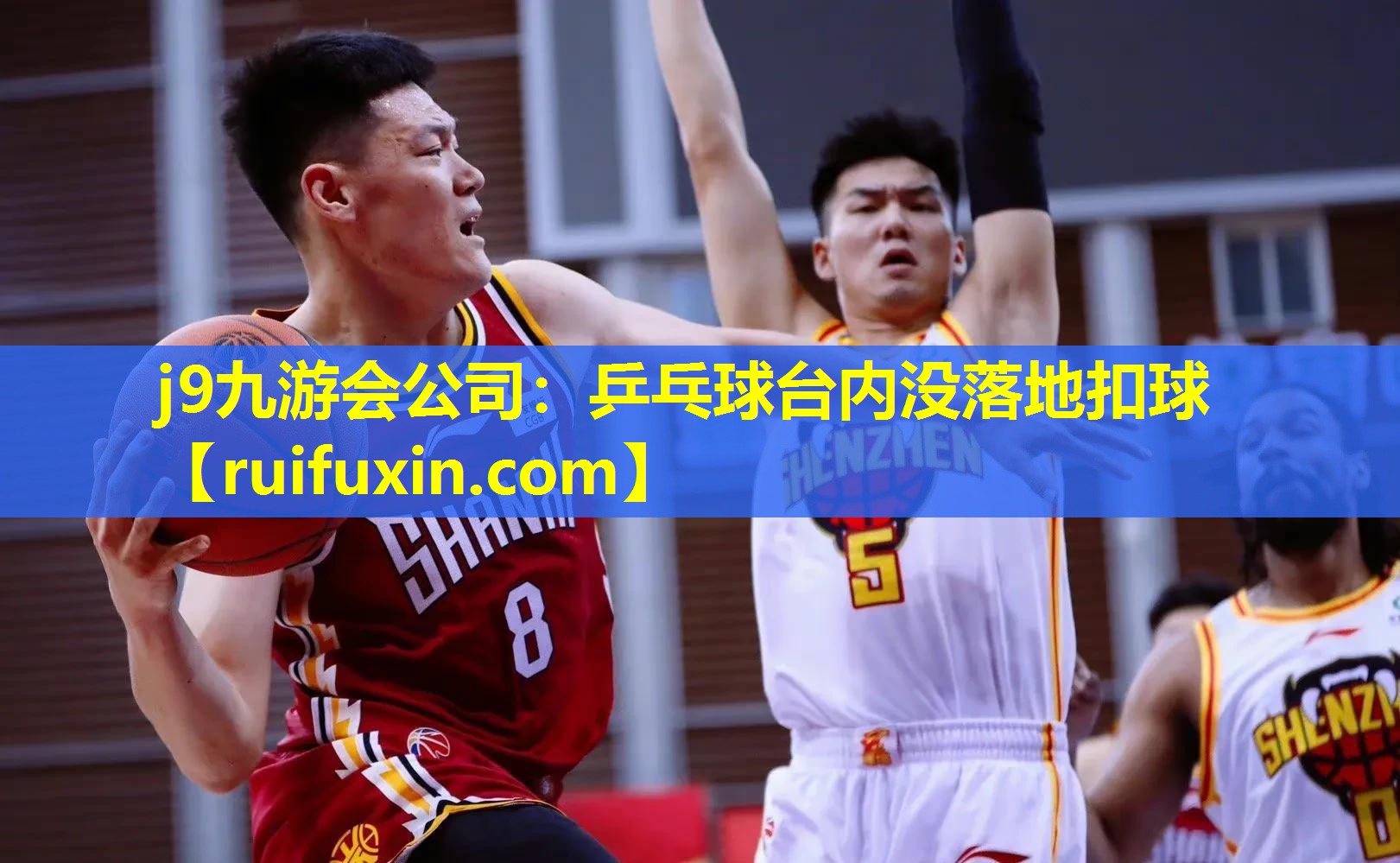 乒乓球台内没落地扣球 乒乓球台内没落地扣球