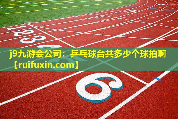 乒乓球台共多少个球拍啊 乒乓球台共多少个球拍啊