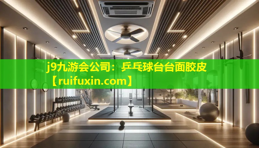 乒乓球台台面胶皮 乒乓球台台面胶皮