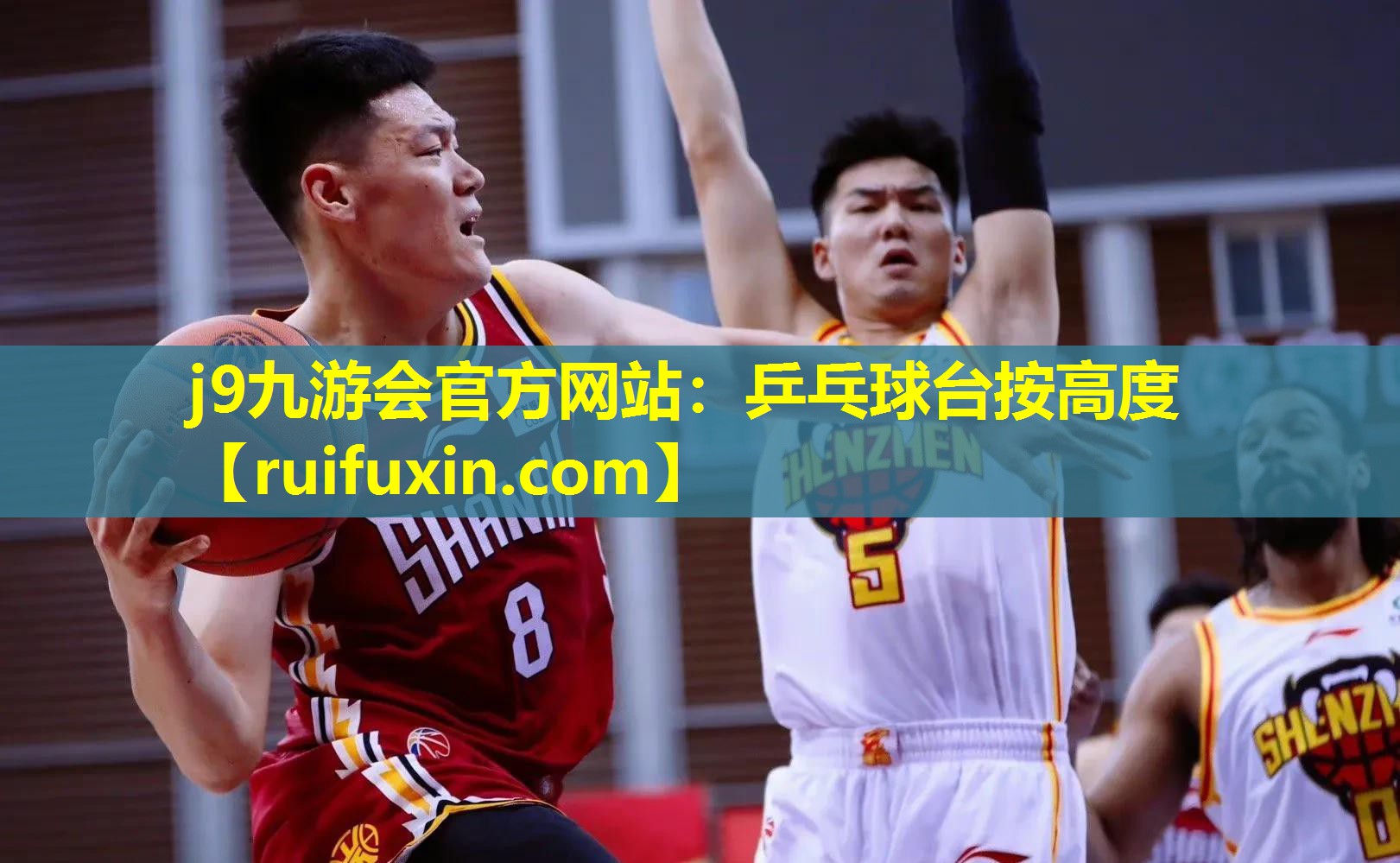 乒乓球台按高度 乒乓球台按高度