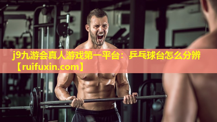 乒乓球台怎么分辨 乒乓球台怎么分辨