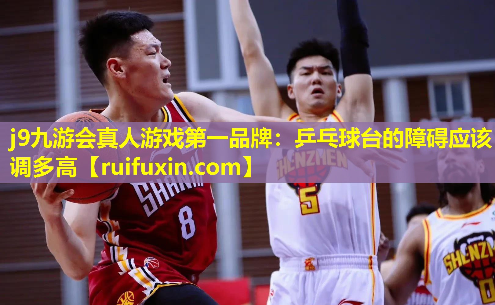 乒乓球台的障碍应该调多高 乒乓球台的障碍应该调多高