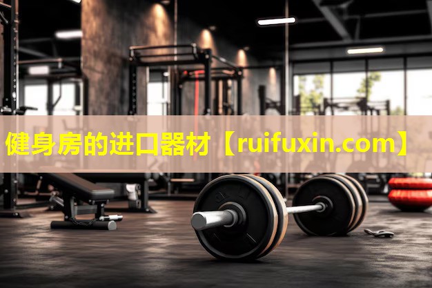 健身房的进口器材