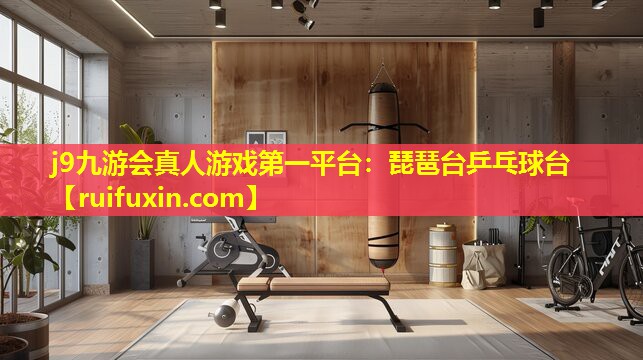 琵琶台乒乓球台 琵琶台乒乓球台