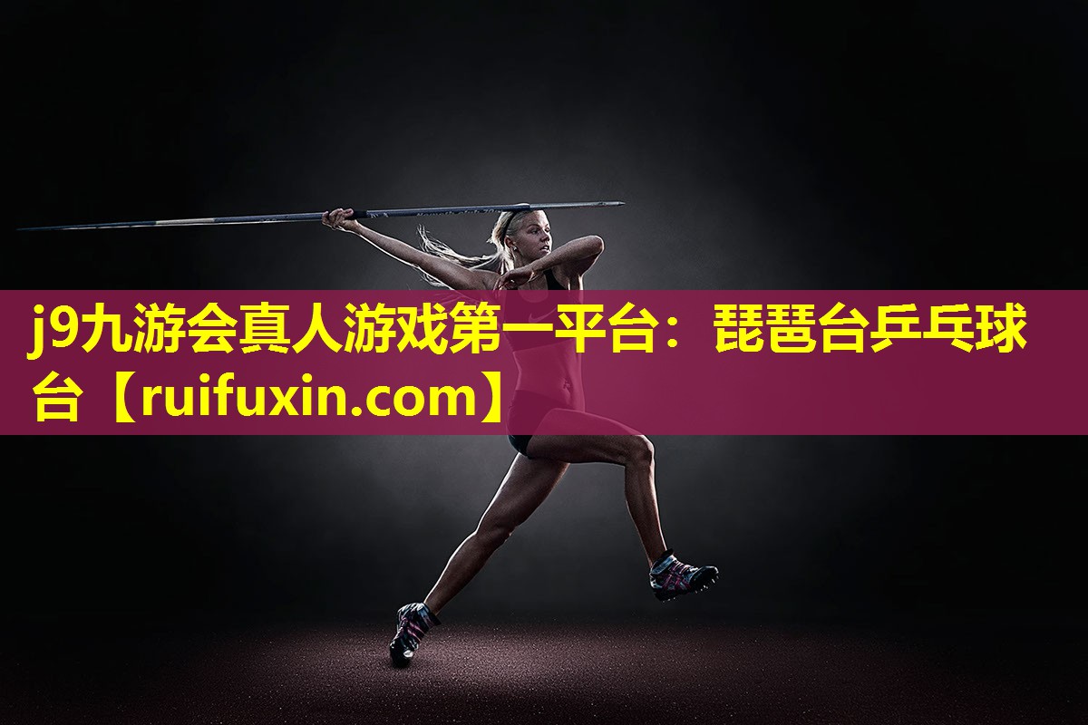 琵琶台乒乓球台 琵琶台乒乓球台