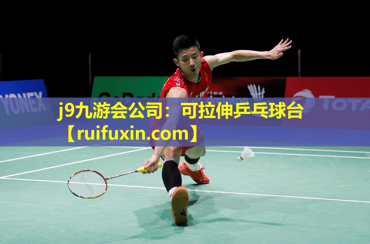 可拉伸乒乓球台 可拉伸乒乓球台